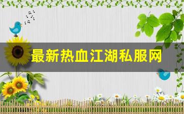 最新热血江湖私服网 (3)