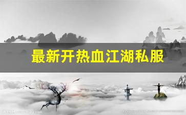 最新开热血江湖私服 (10)