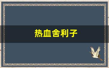 热血江湖贴吧：热血舍利子(舍利子加什么属性) (2)