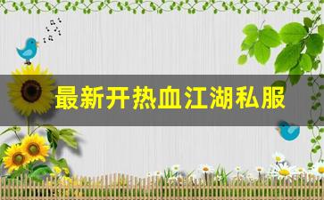 最新开热血江湖私服：最新开热血江湖私服 (6)