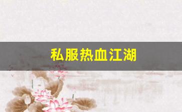 新开私服：私服热血江湖(热血江湖手游) (5)
